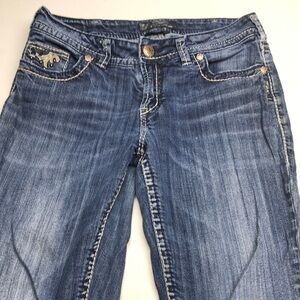 Silver Jeans Blue Skinny Denim with Gradient Effect